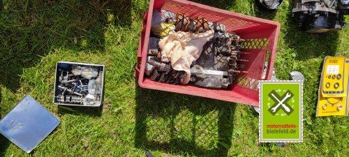 IMG_20230914_131545